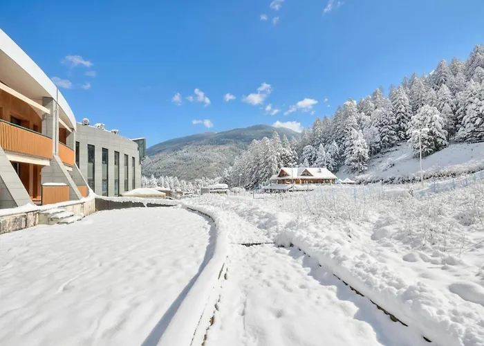 The Lovely Nest - Happy * Bardonecchia